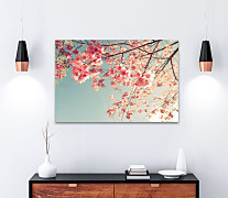 Obraz Jabloňové kvety 1395